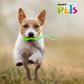 FANCY PETS - Juguete Para Perro Hueso Con Cuerda Pull