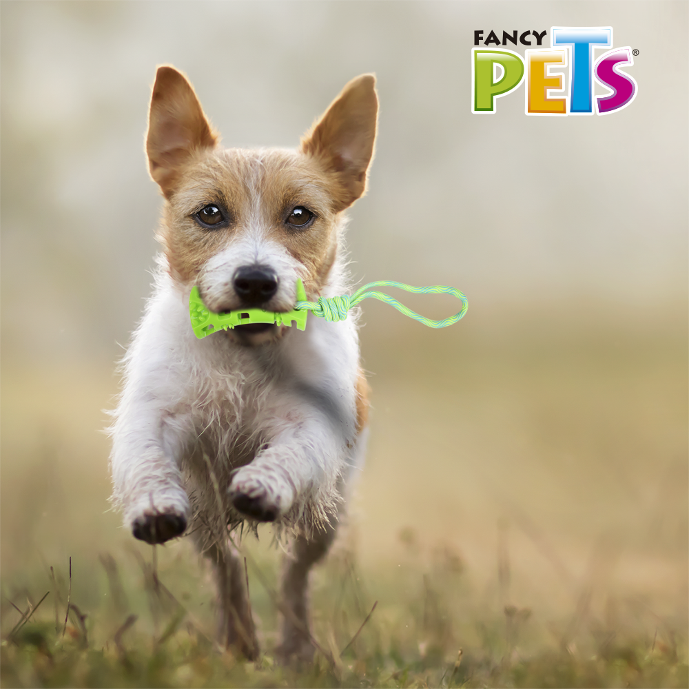 FANCY PETS - Juguete Para Perro Hueso Con Cuerda Pull