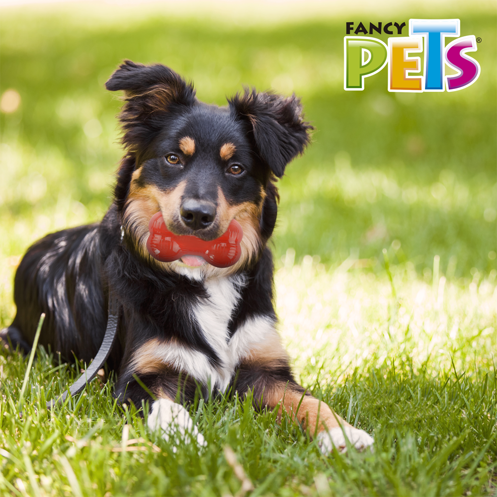 FANCY PETS - Juguete Para Perro Hueso Xtreme Med