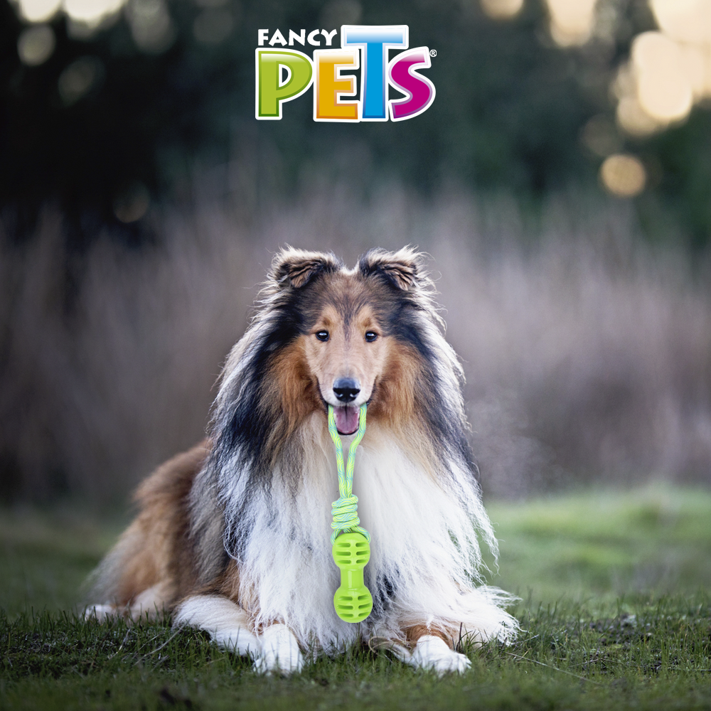 FANCY PETS - Juguete Para Perro Pesa Con Cuerda Pull