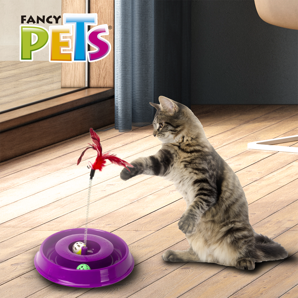 FANCY PETS - Juguete Pista Play Para Gato