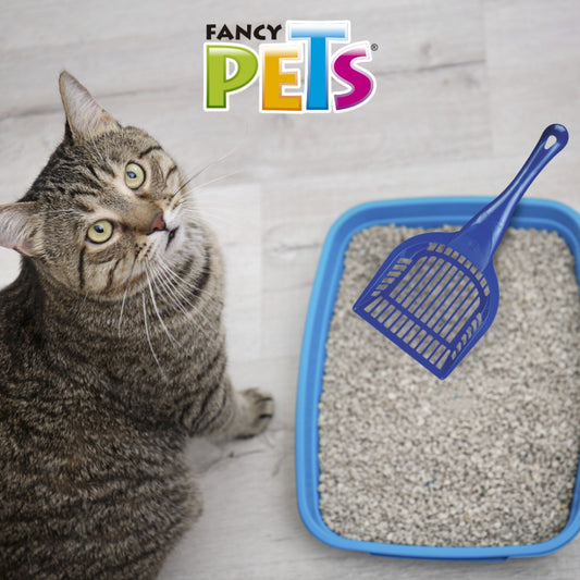 FANCY PETS - Pala Para Arenero