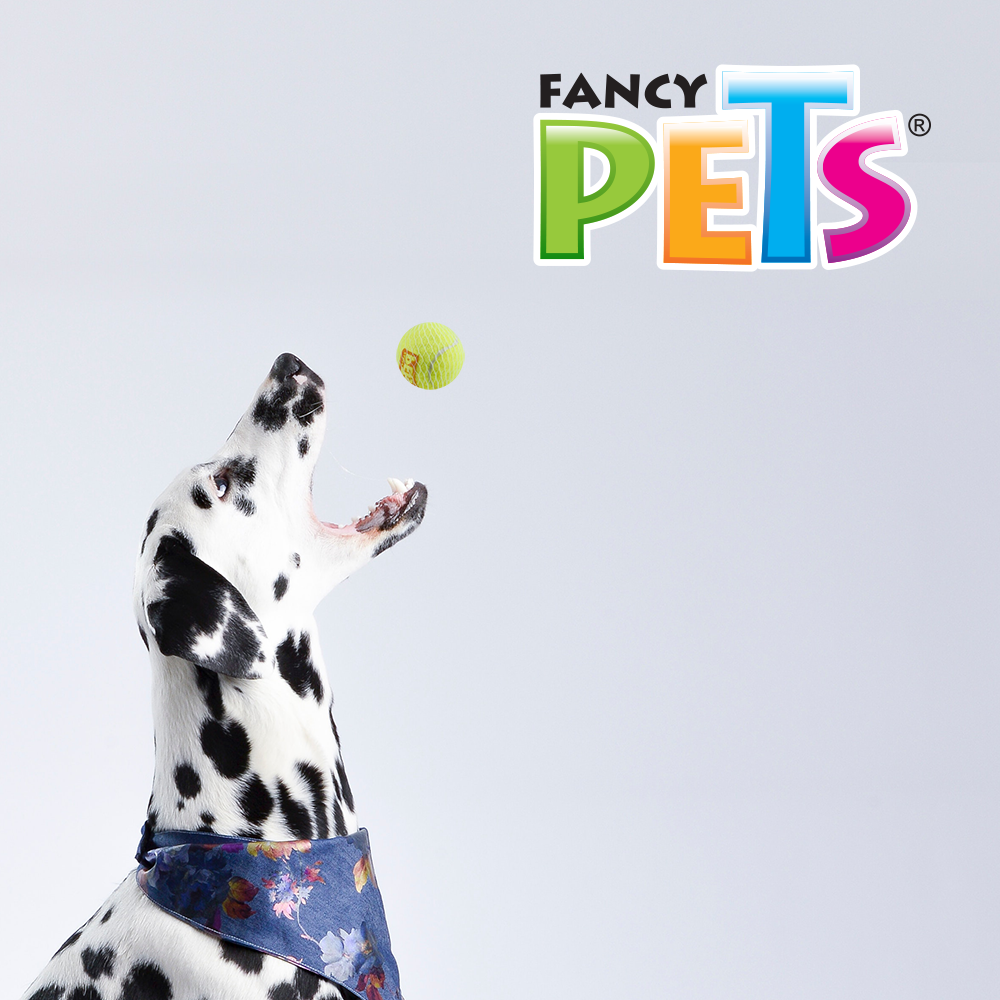 FANCY PETS - Pelota Chica Con Sonido Para Perro 3 Pzas