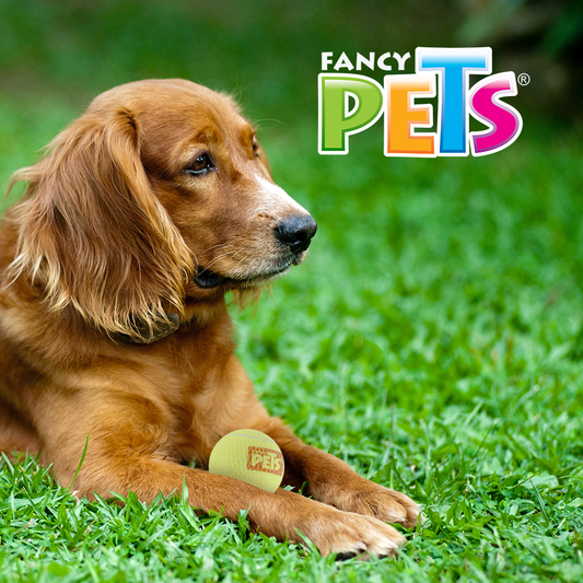 FANCY PETS - Pelota Grande Con Sonido Para Perro 1 Pza