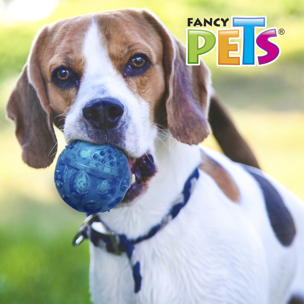 FANCY PETS - Pelota Para Perro Flexible Con Sonido Gde