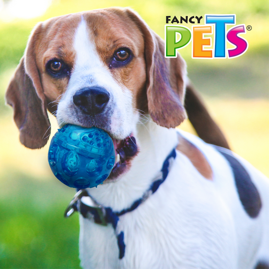 FANCY PETS - Pelota Para Perro Flexible Con Sonido Gde