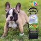 FANCY PETS - Recogedor Mini Para Heces De Perro