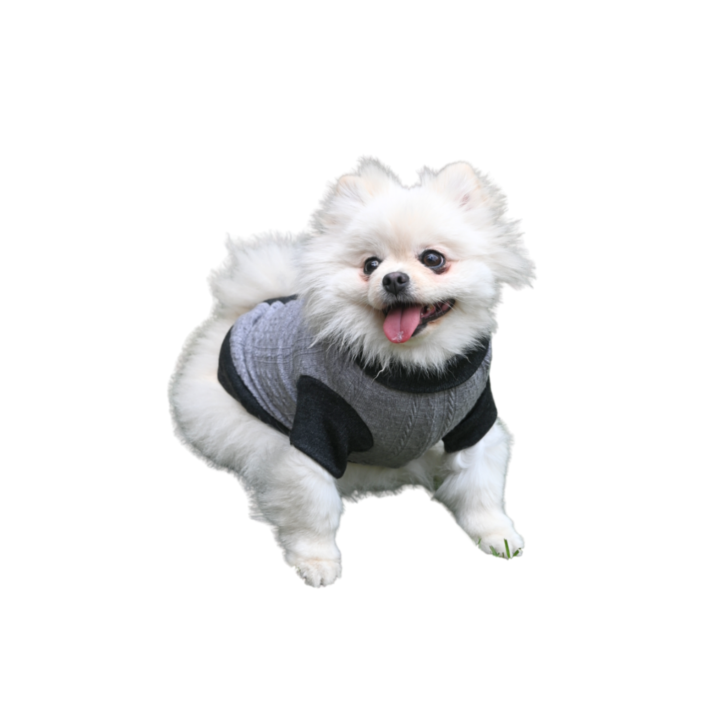 ZOOETERS - Suéter Liso Color Gris Para Perro T1