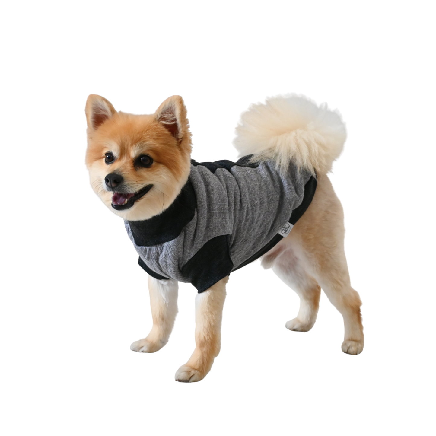 ZOOETERS - Suéter Liso Color Gris Para Perro T1