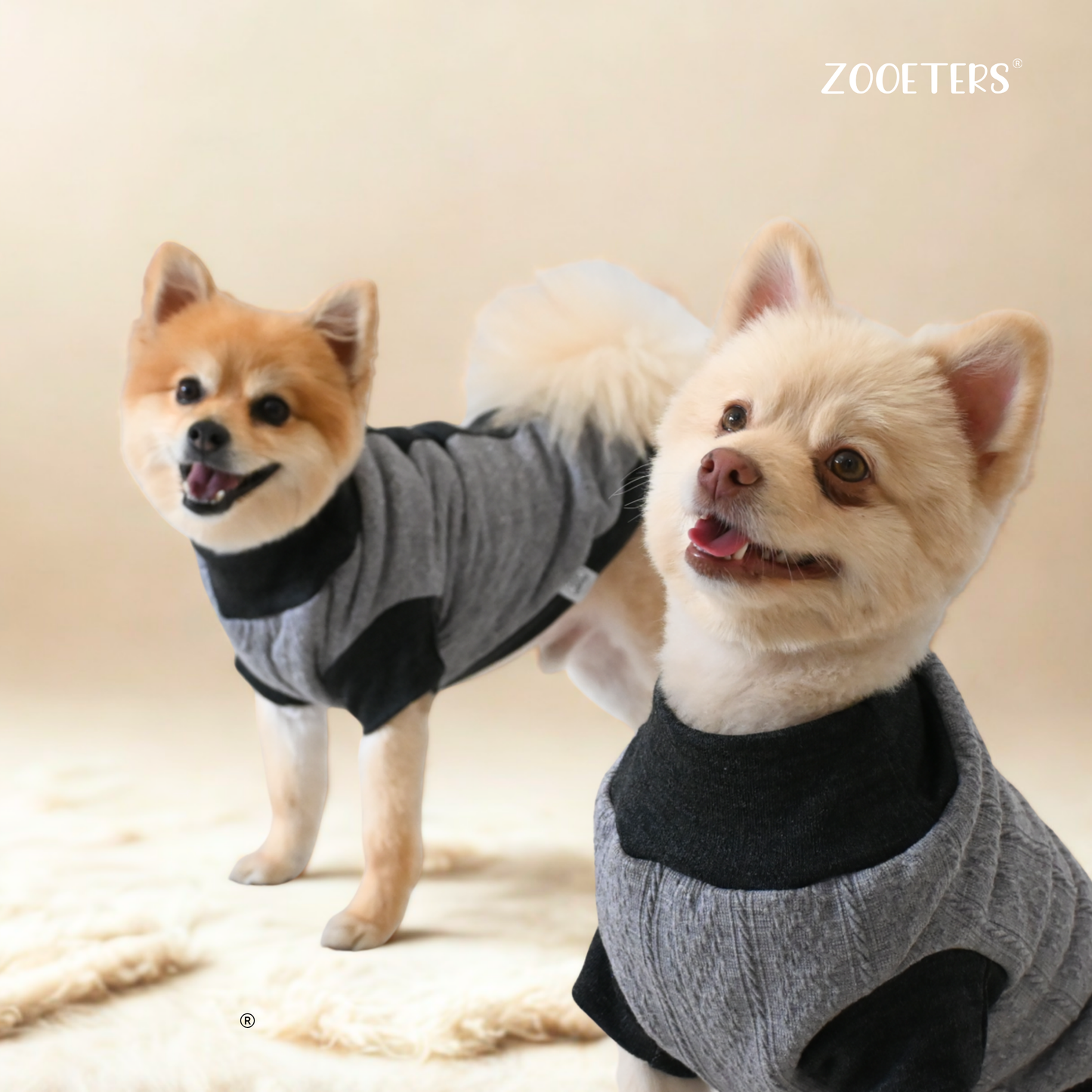 ZOOETERS - Suéter Liso Color Gris Para Perro T1