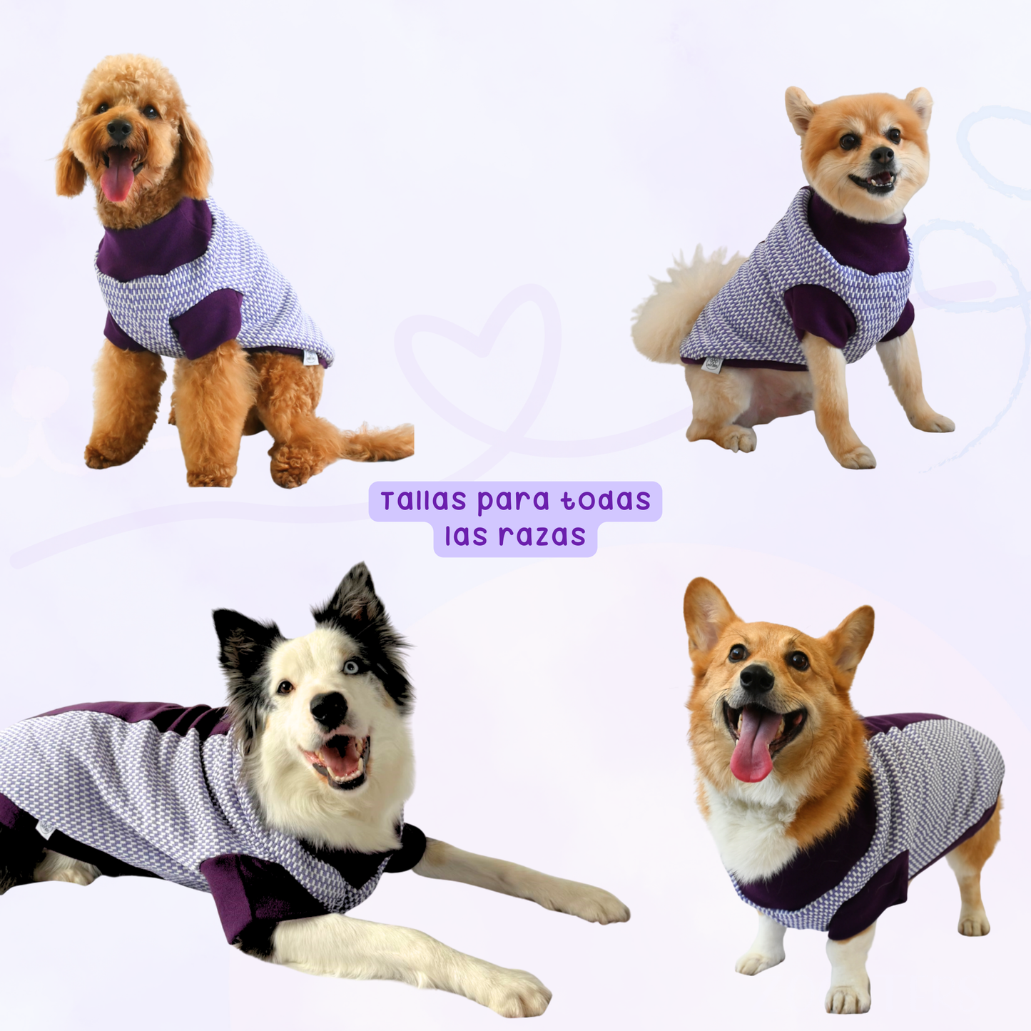 ZOOETERS - Suéter Cuadritos Color Lila Para Perro T4