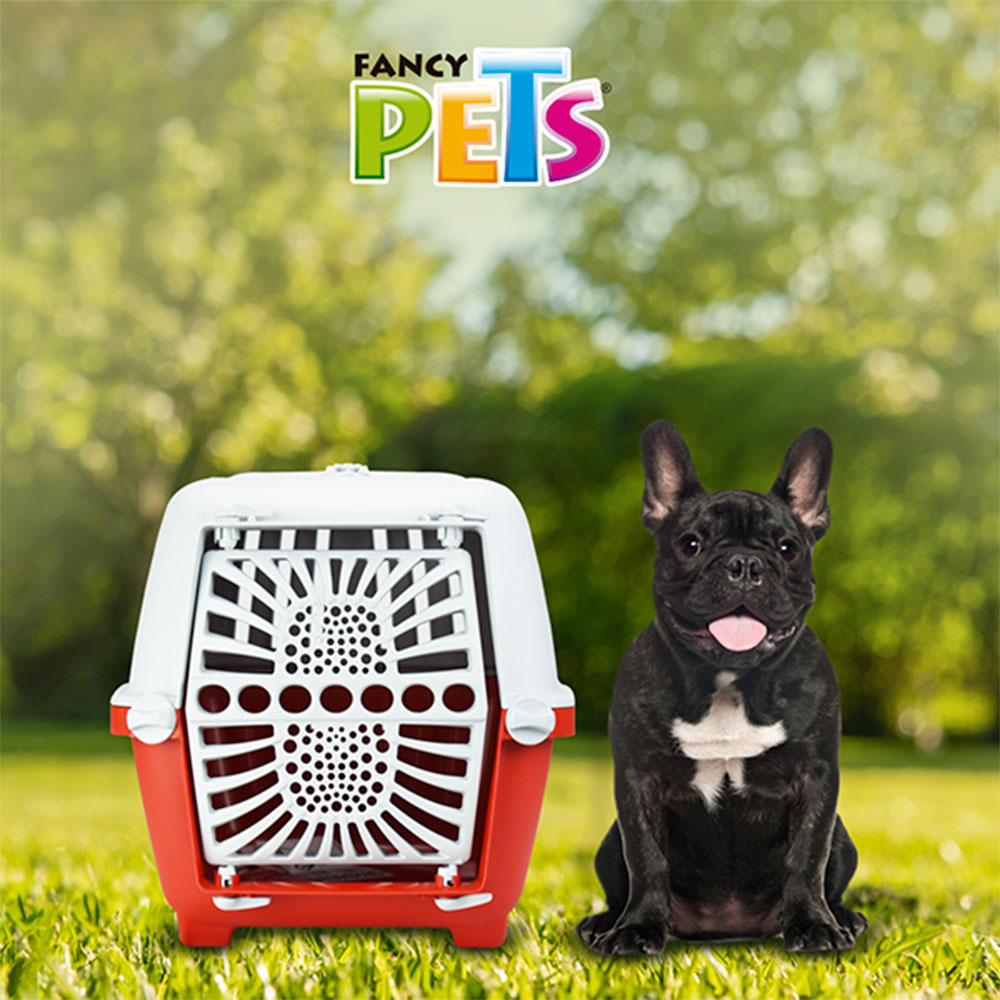 MPS - Transportadora Pratiko 1 Con Puerta Plastico Para Mascotas (48x31.5x31)