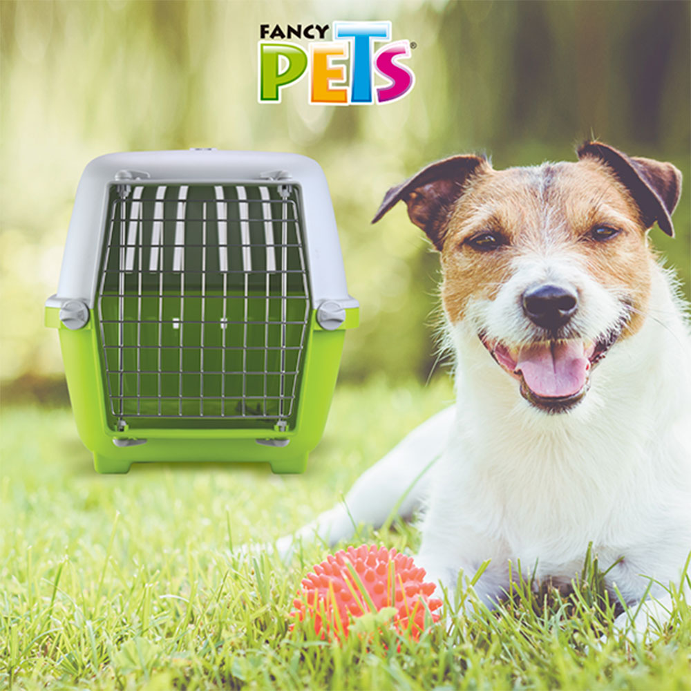 MPS - Transportadora con Puerta de Metal Pratiko 2