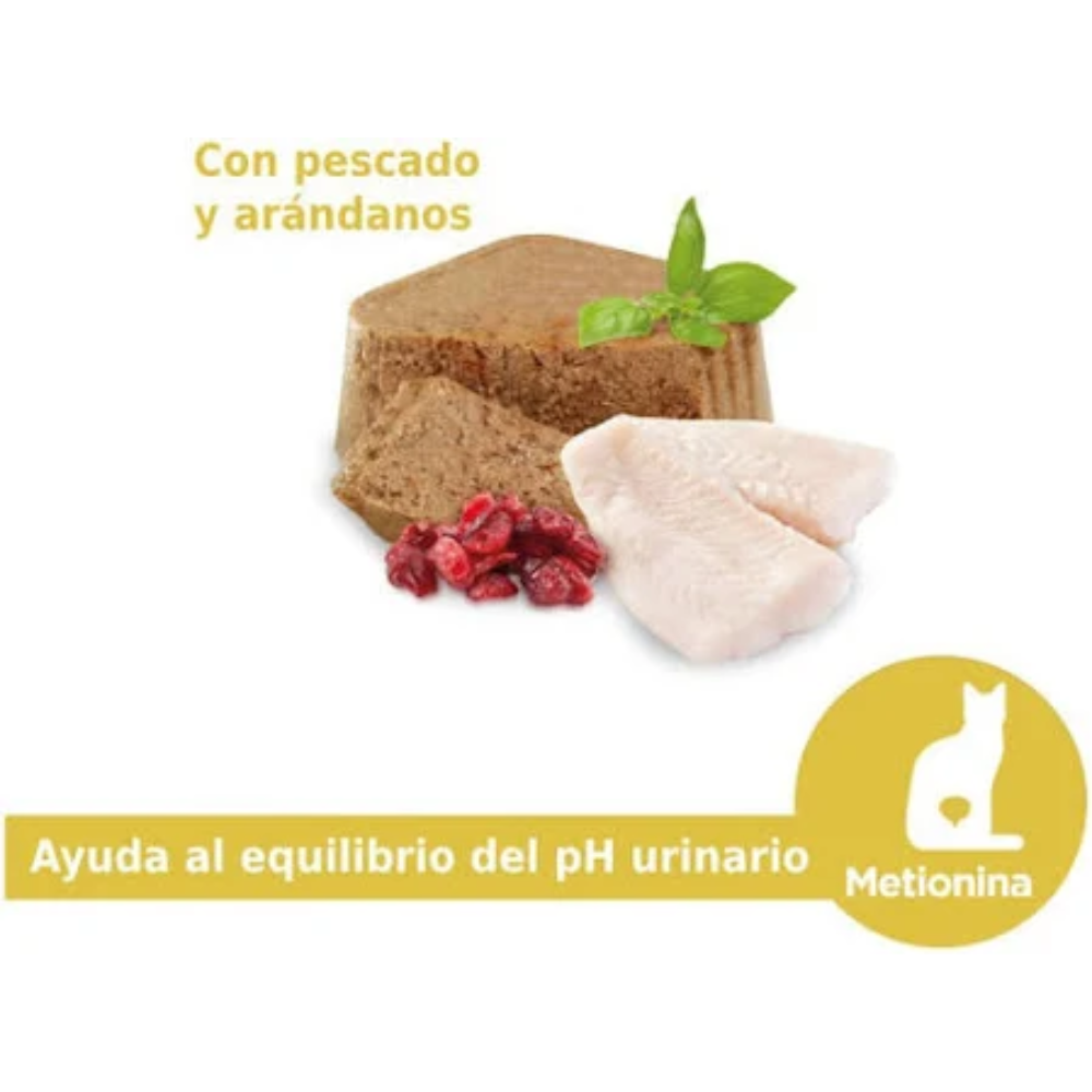 NUPEC - Alimento Húmedo En Lata Para Gato Adulto Urinary 1 Pza De 100 G
