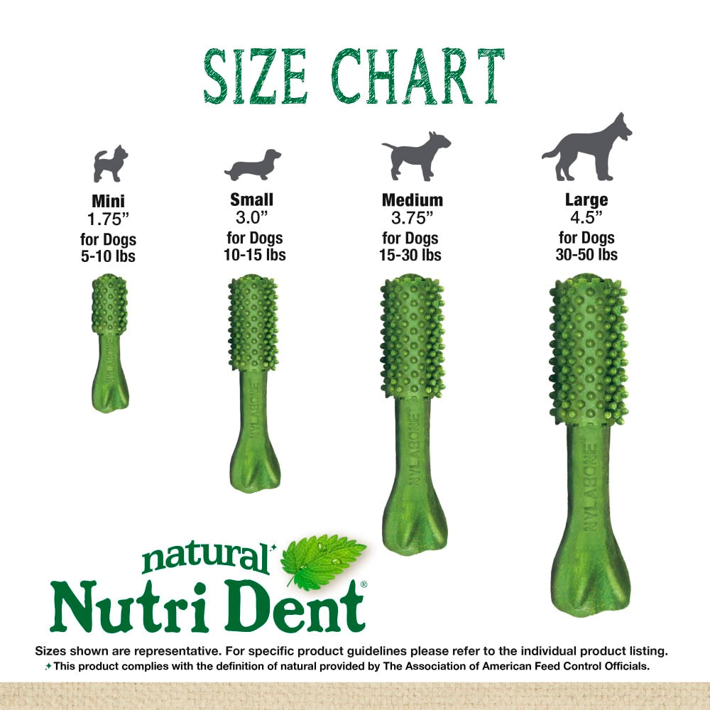 NYLABONE - Premio Dental Para Perro Sabor Aliento Fresco Ch