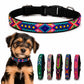 PUNTO MEXICANO - Collar Chico Ajustable Para Perro