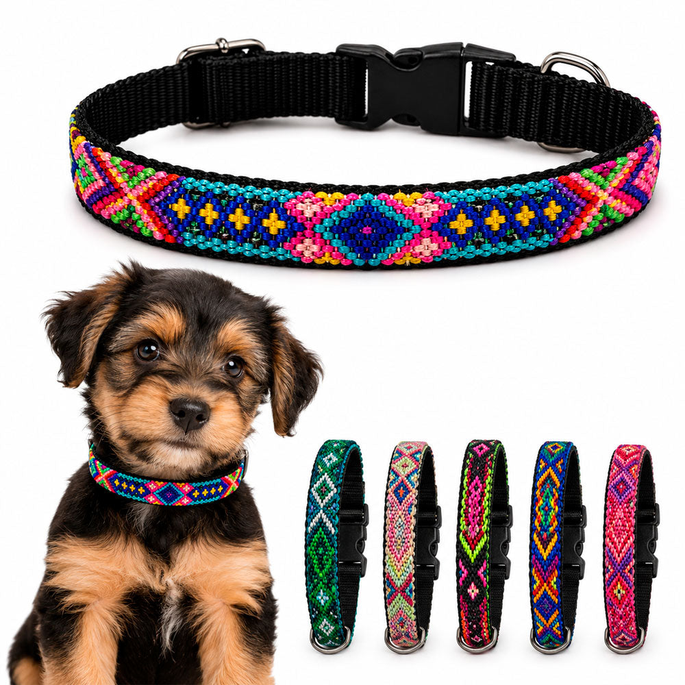 PUNTO MEXICANO - Collar Chico Ajustable Para Perro