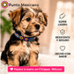 PUNTO MEXICANO - Collar Chico Ajustable Para Perro