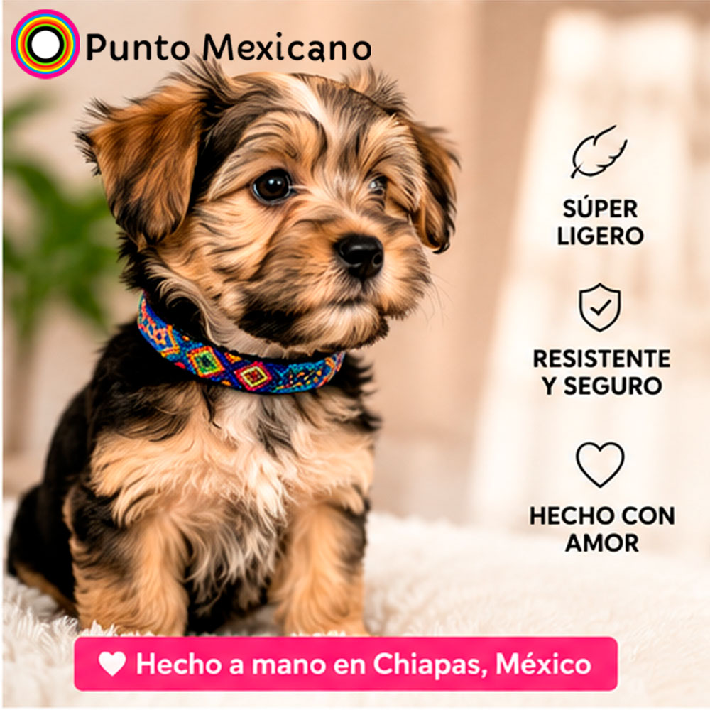 PUNTO MEXICANO - Collar Chico Ajustable Para Perro