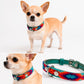 PUNTO MEXICANO - Collar Corrido Para Perro 27x1 Cm