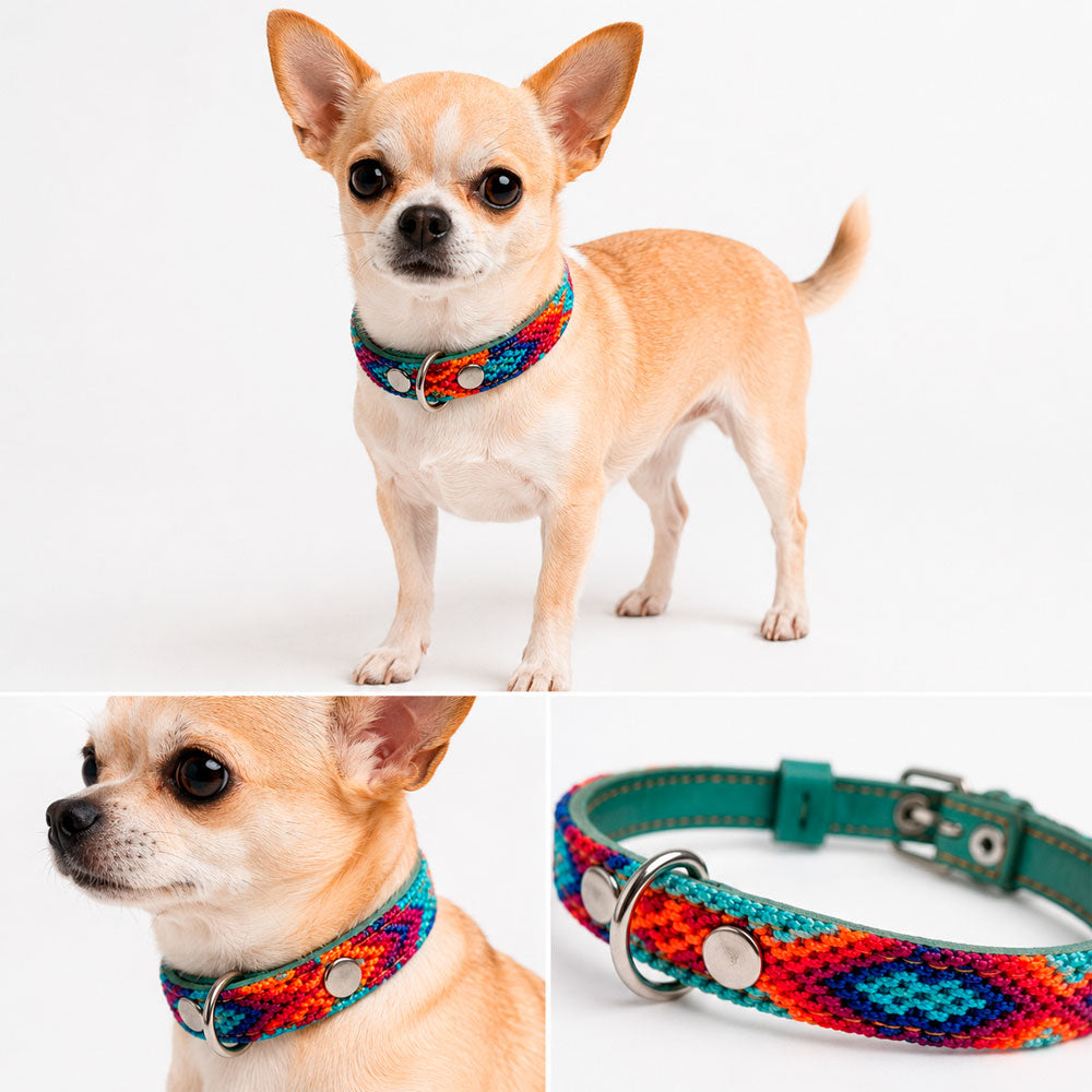 PUNTO MEXICANO - Collar Corrido Para Perro 27x1 Cm