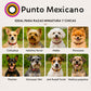 PUNTO MEXICANO - Collar Corrido Para Perro 27x1 Cm