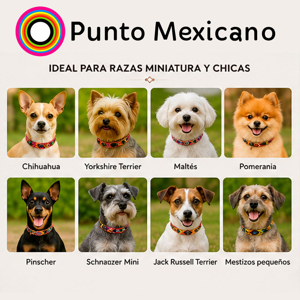 PUNTO MEXICANO - Collar Corrido Para Perro 27x1 Cm