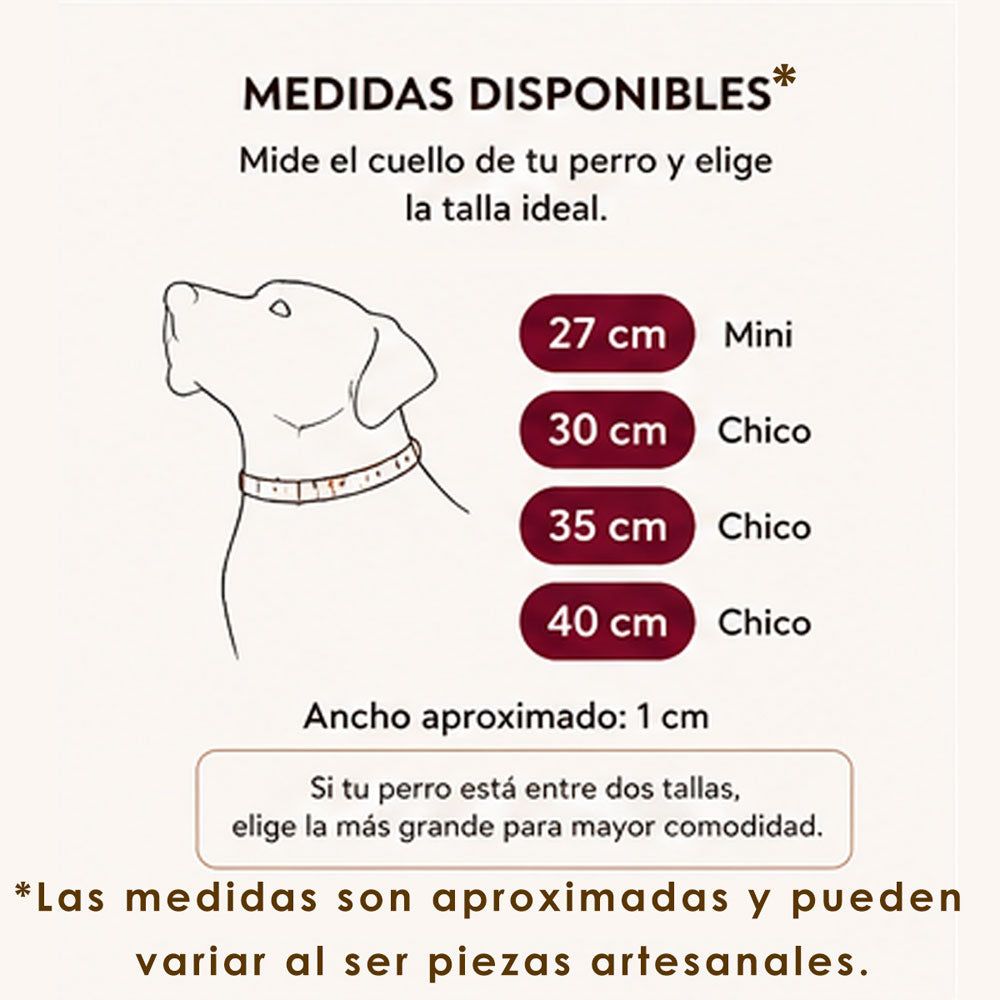 PUNTO MEXICANO - Collar Corrido Para Perro 27x1 Cm