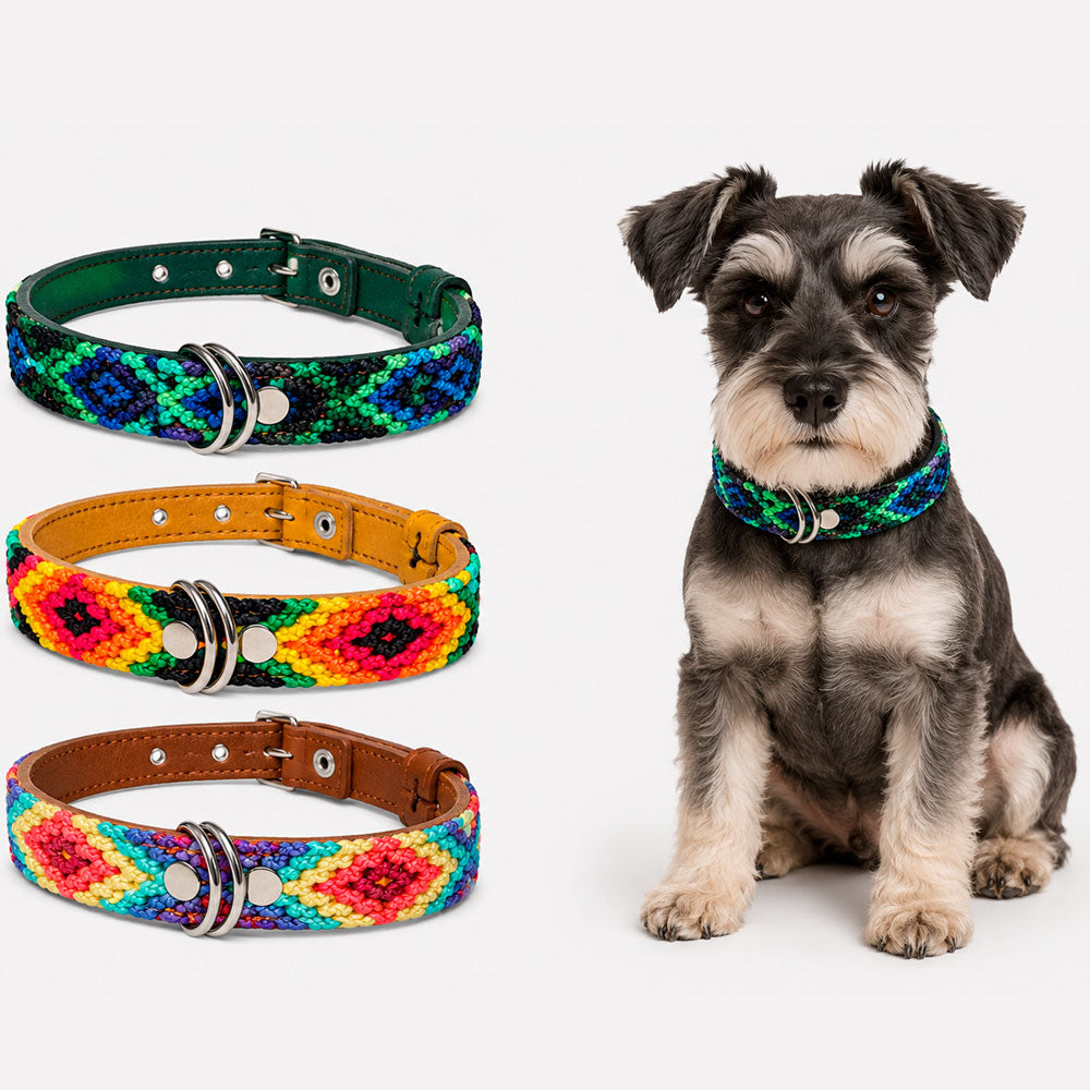 PUNTO MEXICANO - Collar Corrido Para Perro 60x2.5 Cm