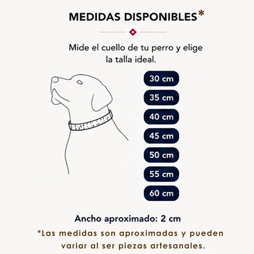 PUNTO MEXICANO - Collar Corrido Para Perro 60x2 Cm