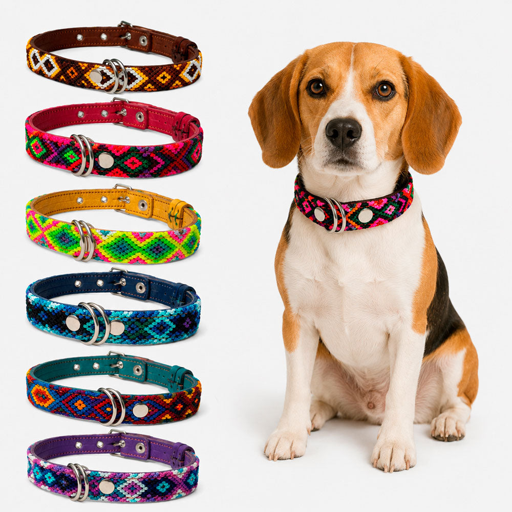 PUNTO MEXICANO - Collar Corrido Para Perro 60x2 Cm