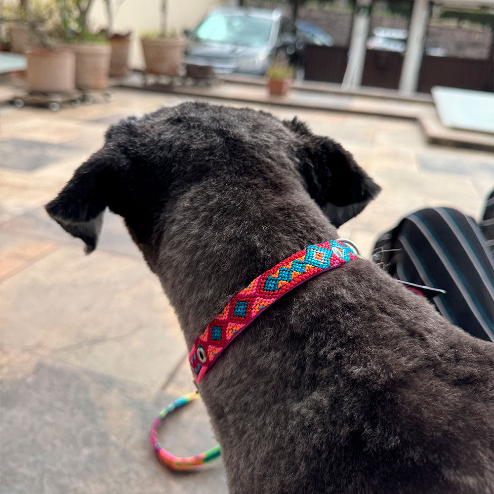 PUNTO MEXICANO - Collar Corrido Para Perro 60x2 Cm