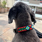 PUNTO MEXICANO - Collar Mediano Ajustable Para Perro
