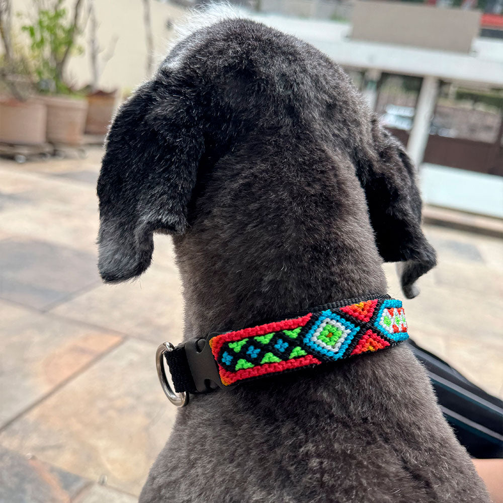 PUNTO MEXICANO - Collar Mediano Ajustable Para Perro