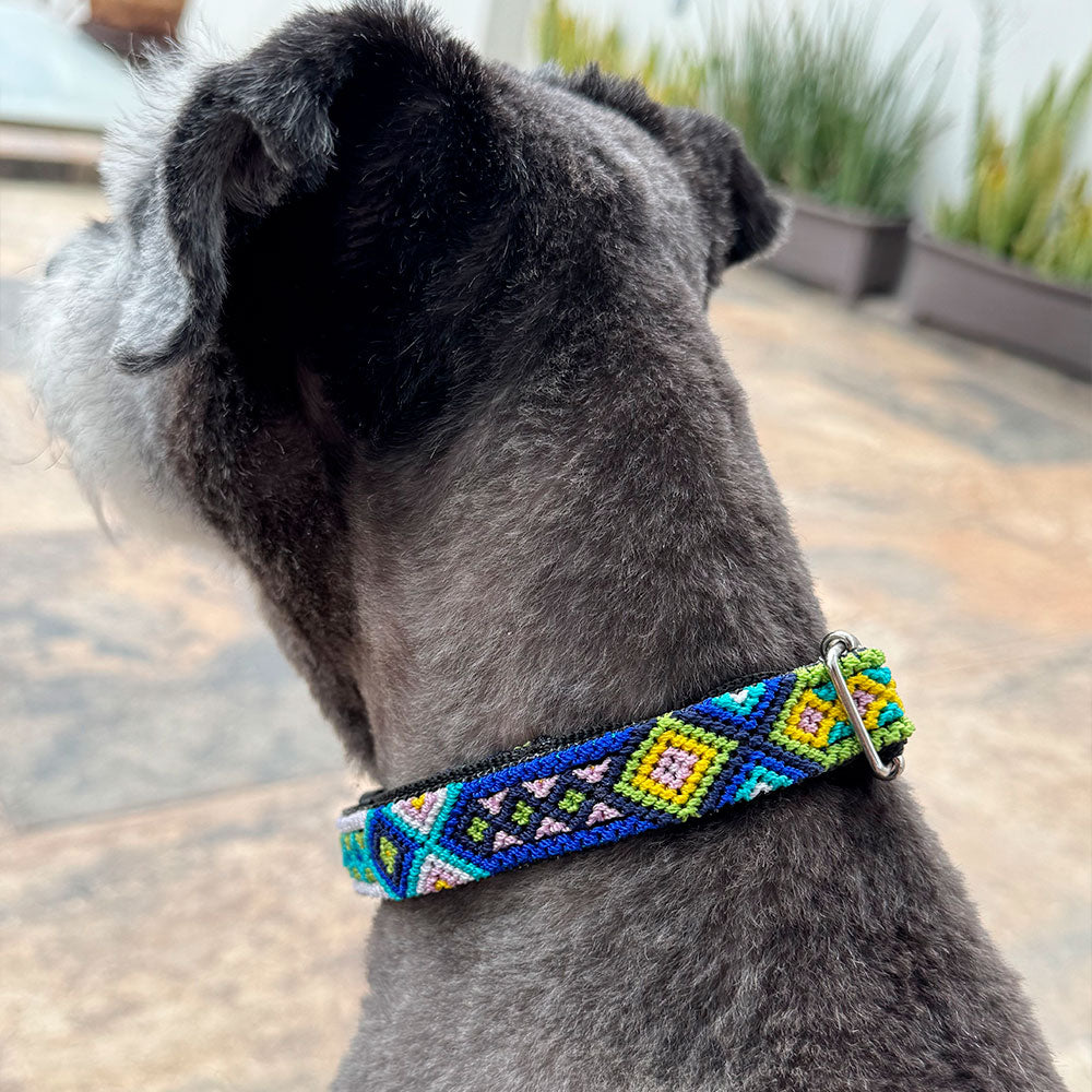 PUNTO MEXICANO - Collar Mediano Ajustable Para Perro