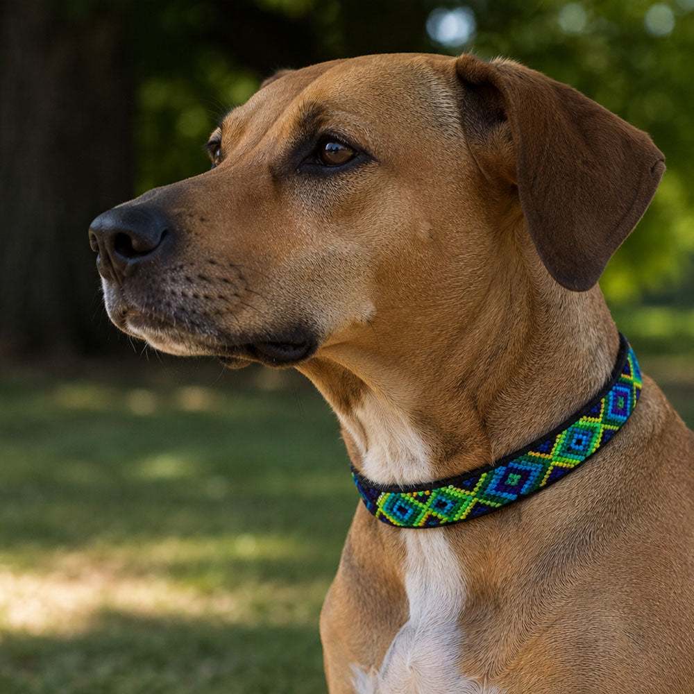 PUNTO MEXICANO - Collar Mediano Ajustable Para Perro