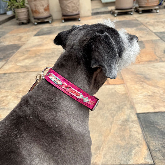 PUNTO MEXICANO - Collar Simple Para Perro 65x3.5 Cm