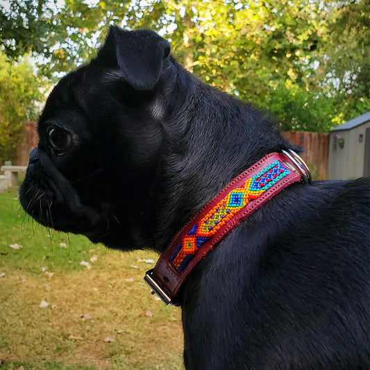 PUNTO MEXICANO - Collar Simple Para Perro 60x3.5 Cm