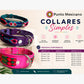 PUNTO MEXICANO - Collar Simple Para Perro 80x3.5 Cm