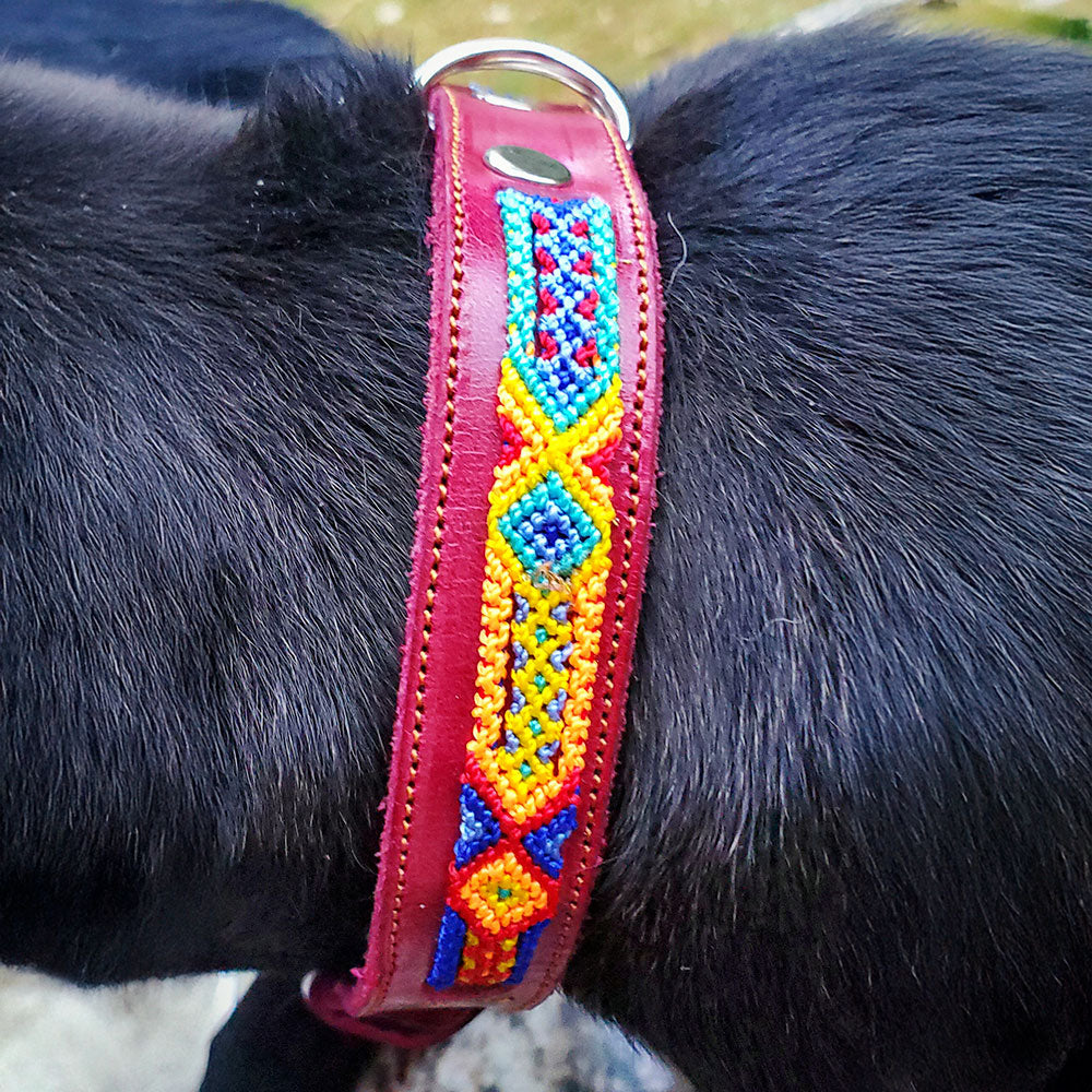 PUNTO MEXICANO - Collar Simple Para Perro 35x1 Cm