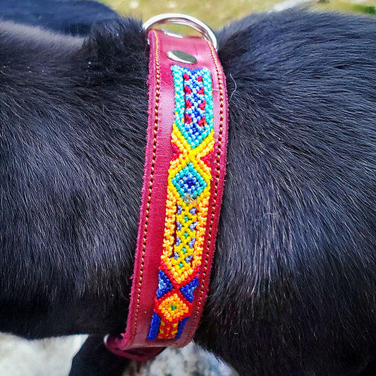 PUNTO MEXICANO - Collar Simple Para Perro 80x3.5 Cm