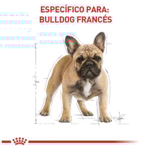 Rc_Alimento_P/Perro_Adulto_Bulldog_Frances_7.7_K_Seco_Razas_Especificas