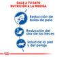 ROYAL CANIN - Alimento Para Gato Adulto Indoor 1.36 Kg