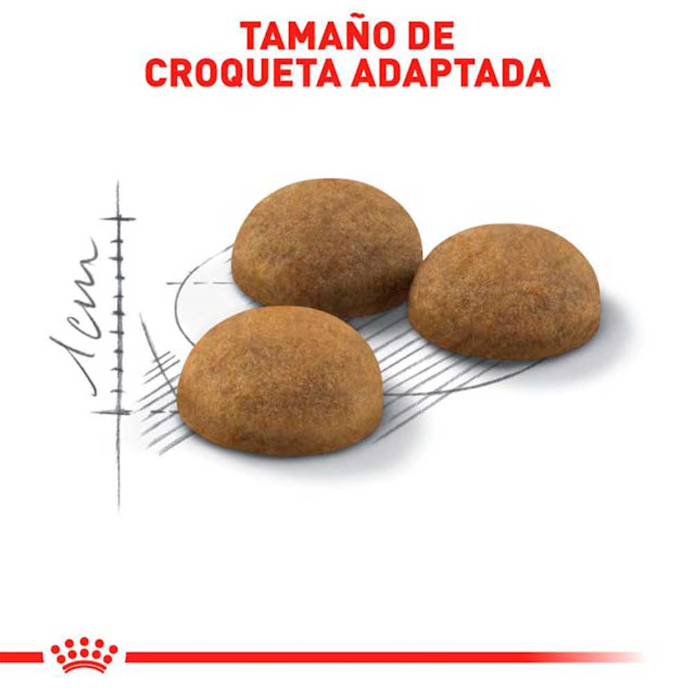 ROYAL CANIN - Alimento Para Gato Adulto Indoor 1.36 Kg