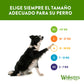 WHIMZEES - Snack Cepillo De Dientes Para Perros XXs 1 PZ