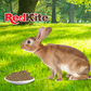 Alimento Conejo 1 Kg Conejo Pellet