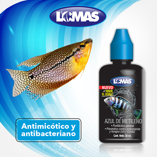 Farmaceuticos Lomas Azul De Metileno Todas Las Etapas Salud