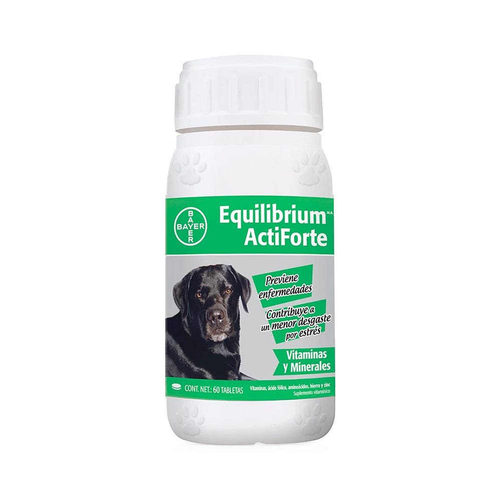 Equilibrium - Suplemento Vitamínico Actiforte