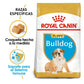 ROYAL CANIN - Alimento Seco Para Perro Cachorro Raza Bulldog 2.72 Kg