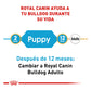 ROYAL CANIN - Alimento Seco Para Perro Cachorro Raza Bulldog 2.72 Kg